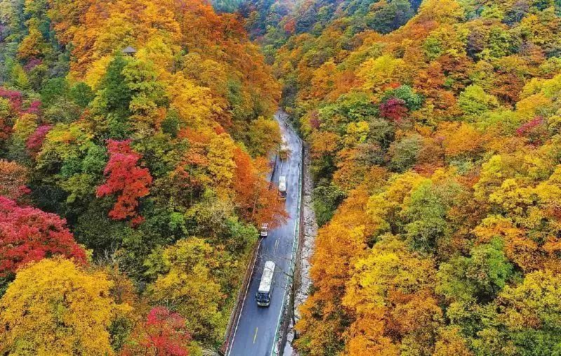 巴中好玩的地儿 ▽ 光雾山风景名胜区位于南江县北部边缘,距县城70