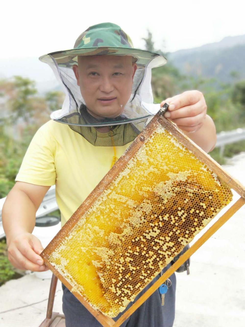 湘西大山深处的养蜂人