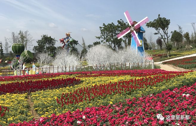 五 龙 山 音 乐 百 花 谷 国 庆 盛 大 开 园 五彩斑斓百花谷 "五龙山