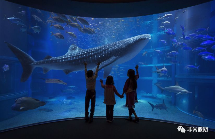 日本最大规模水族馆:海游馆