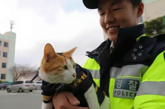 这只韩国猫妈妈太机智了,居然知道有困难找警察.还用最特别的方式报恩