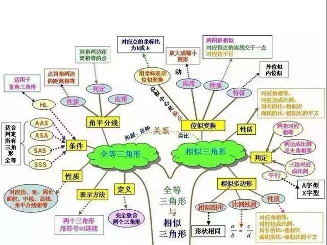 女学霸画出的初中知识结构图,把各科知识结构讲得一清二楚!