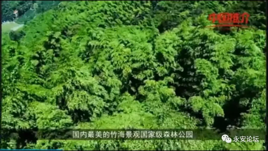 永安人口_永安桃源洞(2)