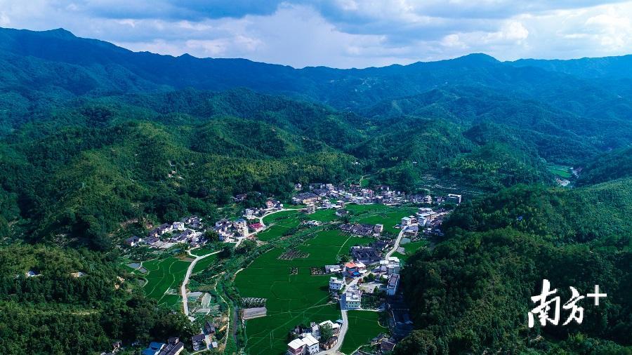 其中,大埔县青溪镇成为今年全市唯一入围的森林小镇.