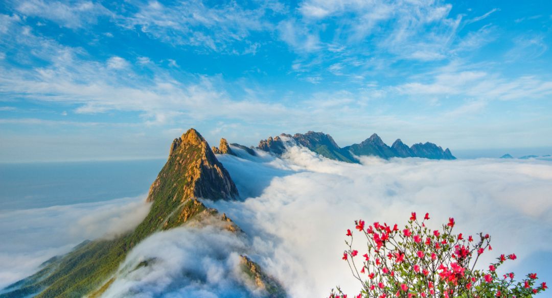 关于调整上饶灵山风景名胜区门票的公告