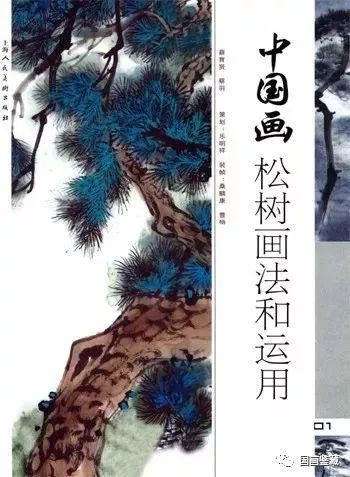 松树的基础画画法