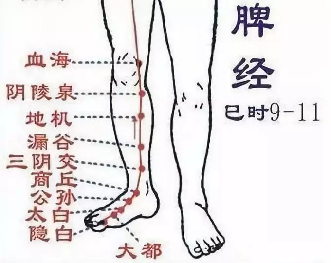 第一:地机穴痛——脾脏(包括胰腺)有炎症