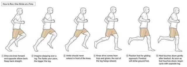 姿势跑法中正确跑步技术的法则,我认为黄金法则如下