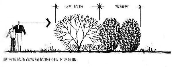 植物空间设计干货汇总