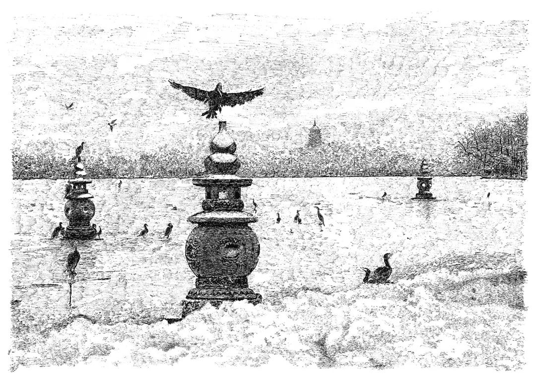 西湖之畔,邀你赏雪|《雪画西湖》钢笔画新品发布