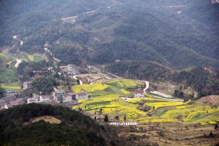 美丽乡村泳溪北山村仙境中的家园