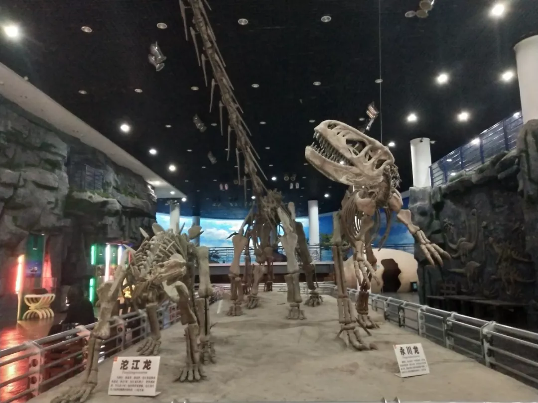 长春竟有这么好玩的博物馆拍照溜娃看恐龙还能来场丛林探险