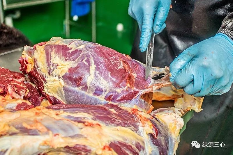 揭秘牛肉制假全过程，触目心惊，平常吃的可能根本不是肉？
