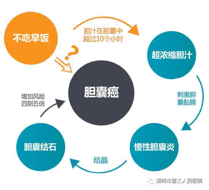 三院科普体检时检查出了胆囊息肉究竟是啥病