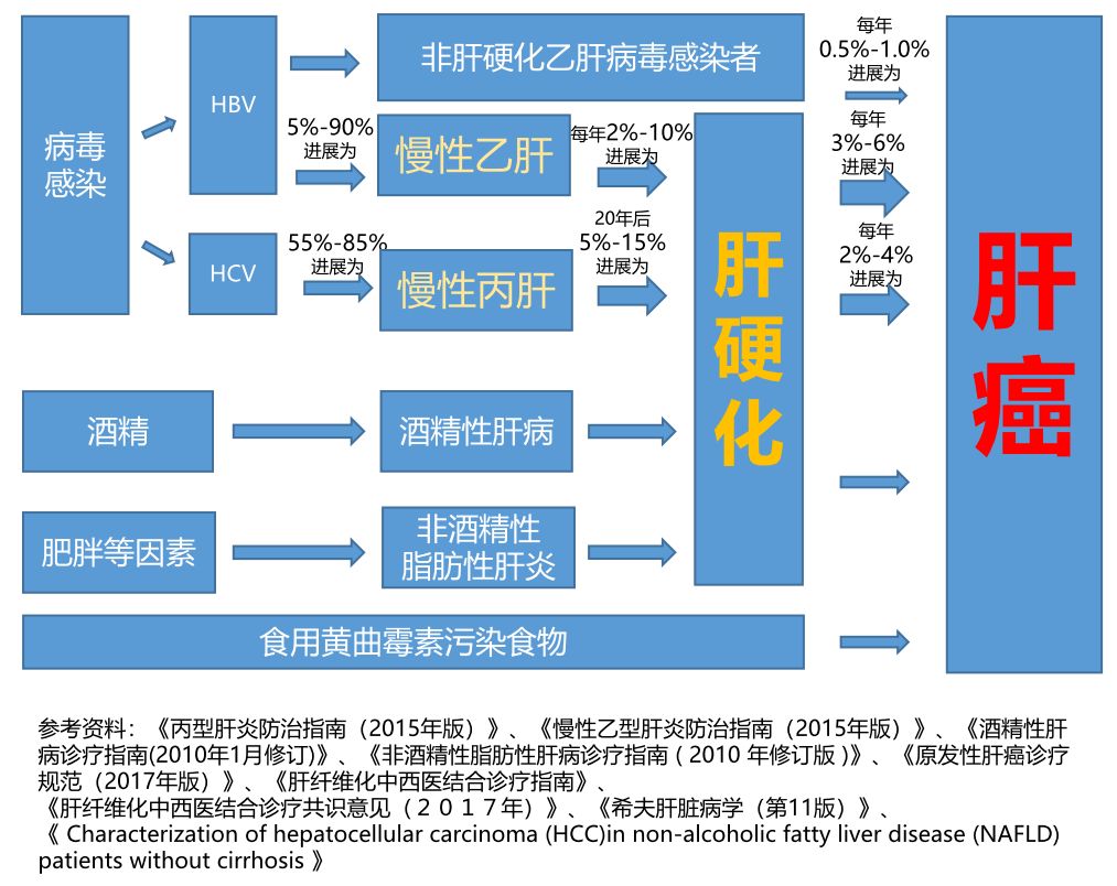 病因引起的肝损伤, 慢性反复的肝损伤导致肝纤维化,进而发展为肝硬化