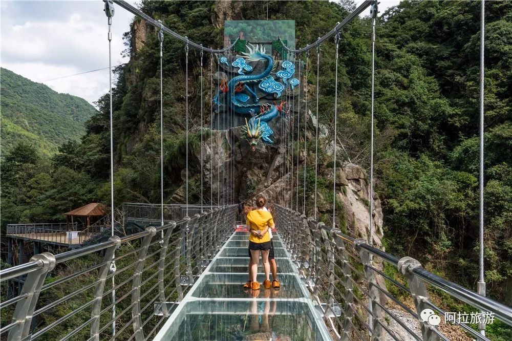 穿越四明山 | 宁波首座7d全景高空玻璃索桥亮相海曙龙观乡