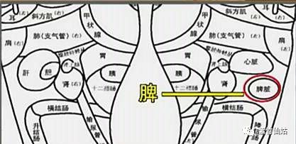 足看脾胃