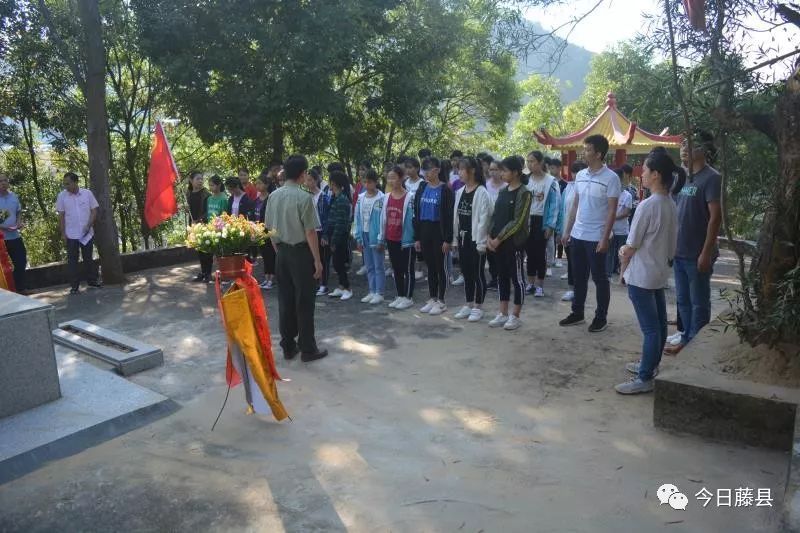 宁康乡开展烈士纪念日活动 缅怀革命先烈,弘扬民族精神 和平镇开展