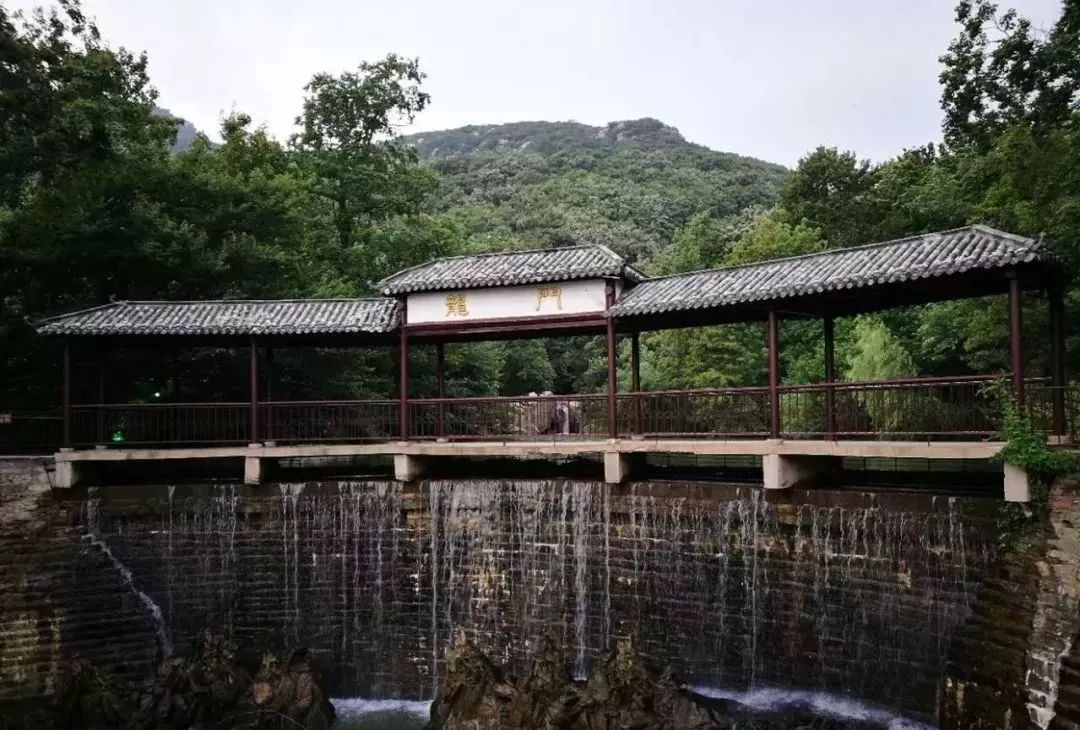 连云港市最美村支书风采③连云区黄窝村张立祥18年奉献照亮幸福渔村