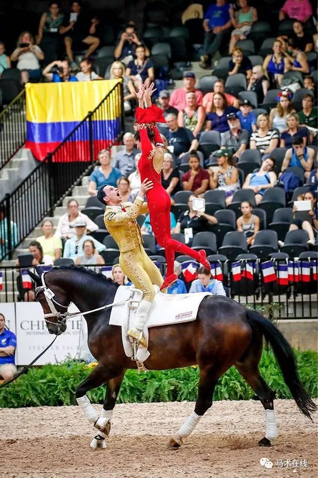 马的灵性与人体的柔美，世界马术运动会马背体操让人叹为观止
