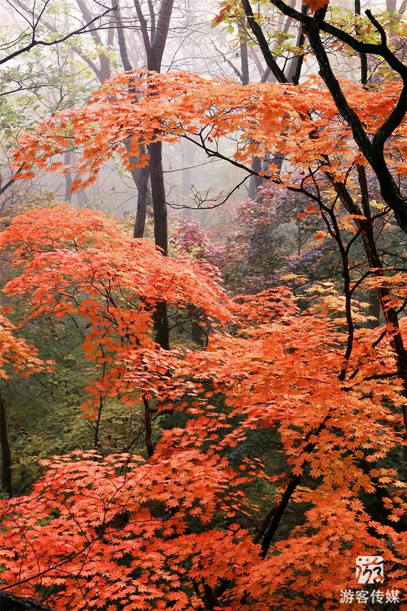 秋游辽宁|本溪关门山