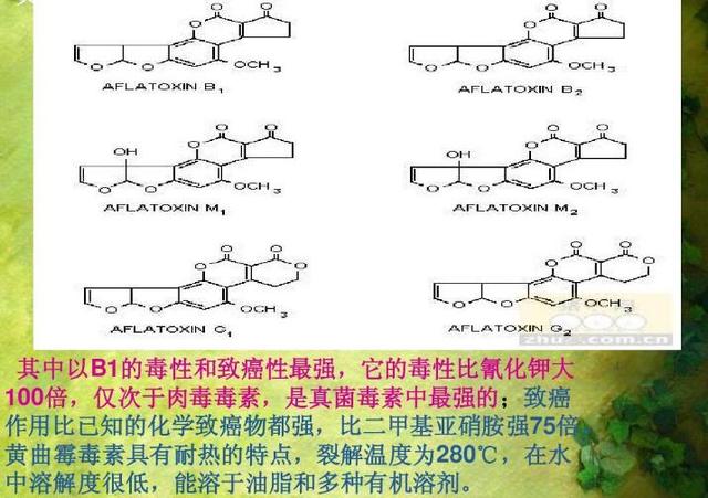 黄曲霉毒素的简介和快速检测方法