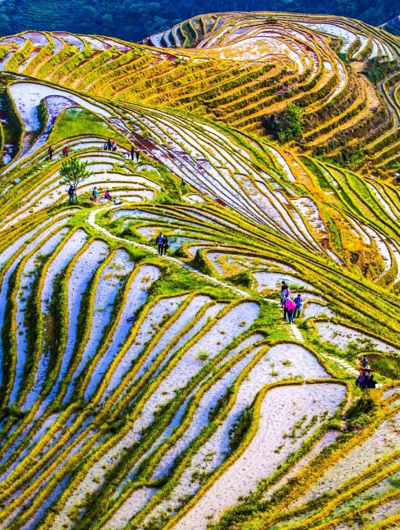 杨丽萍打卡的旅行地，藏着中国最美的秋天