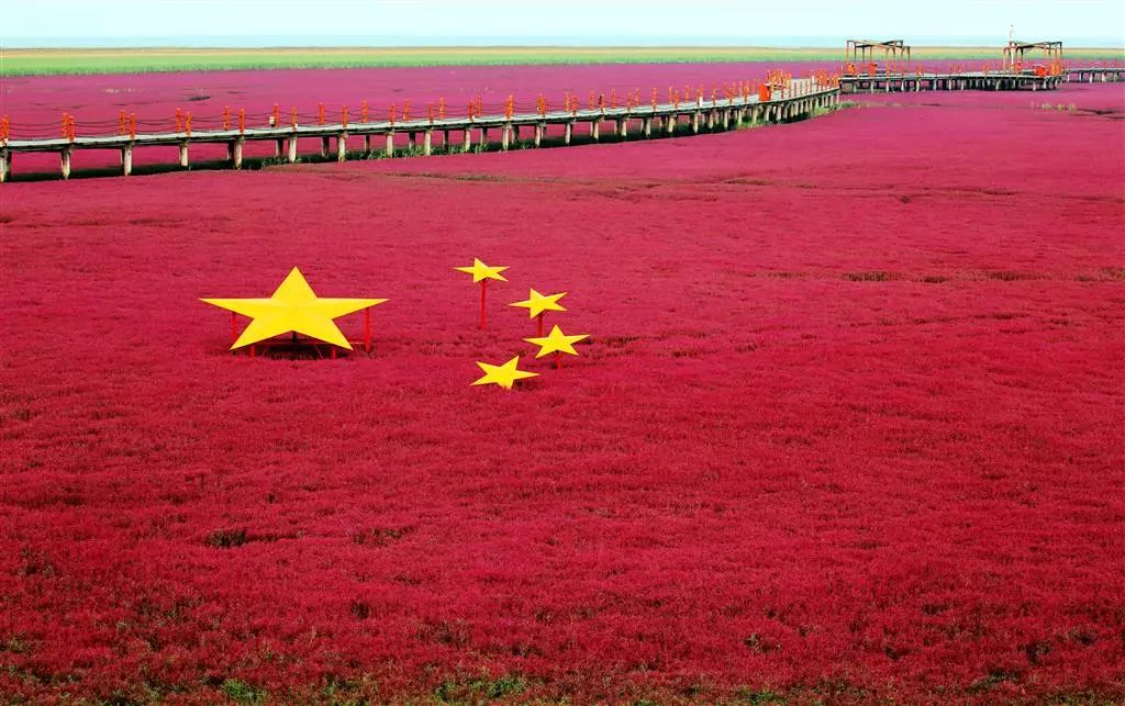丰收中国 幸福盘锦:红旗飘飘