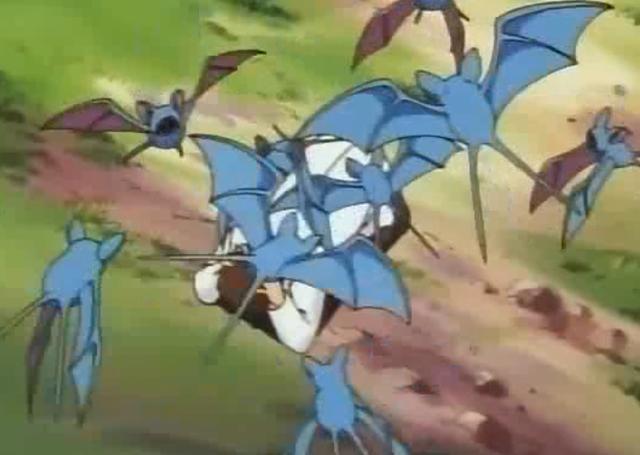 《精灵宝可梦》奇闻趣事(90):惹人烦的超音蝠,曼德拉走路草!