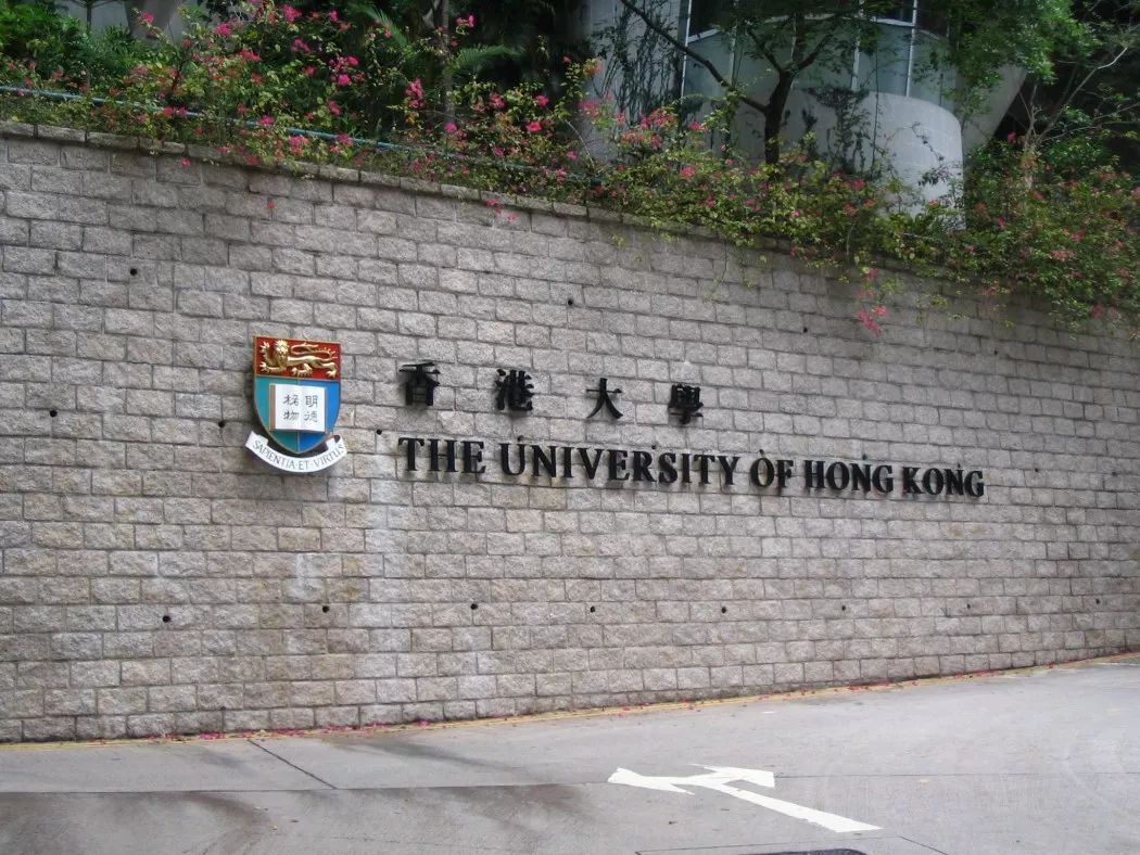 香港大学商科专业全解析