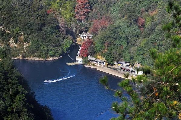 踩刹车踩到袜子都破了!其实诸暨还有这14家本地景区