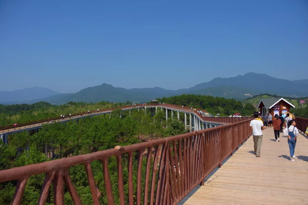 县旅游部门还在景区设立了志愿服务台,向游客,市民发放武平县全域旅游