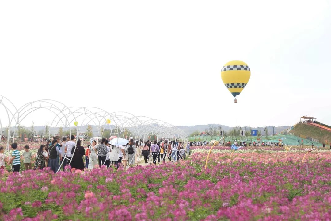 国庆第一天如果没来枫林花海,接下来你绝对不容错过(文末有福利)