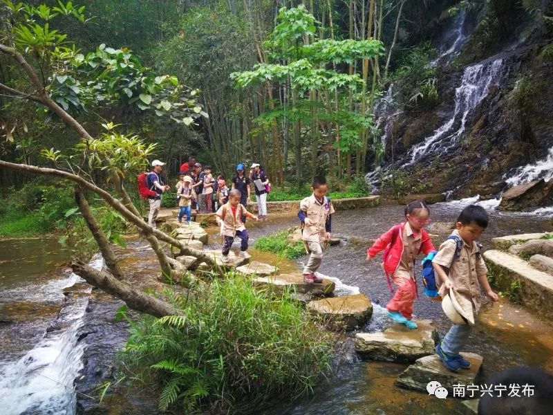 凤凰谷风景区金秋竹文化旅游节