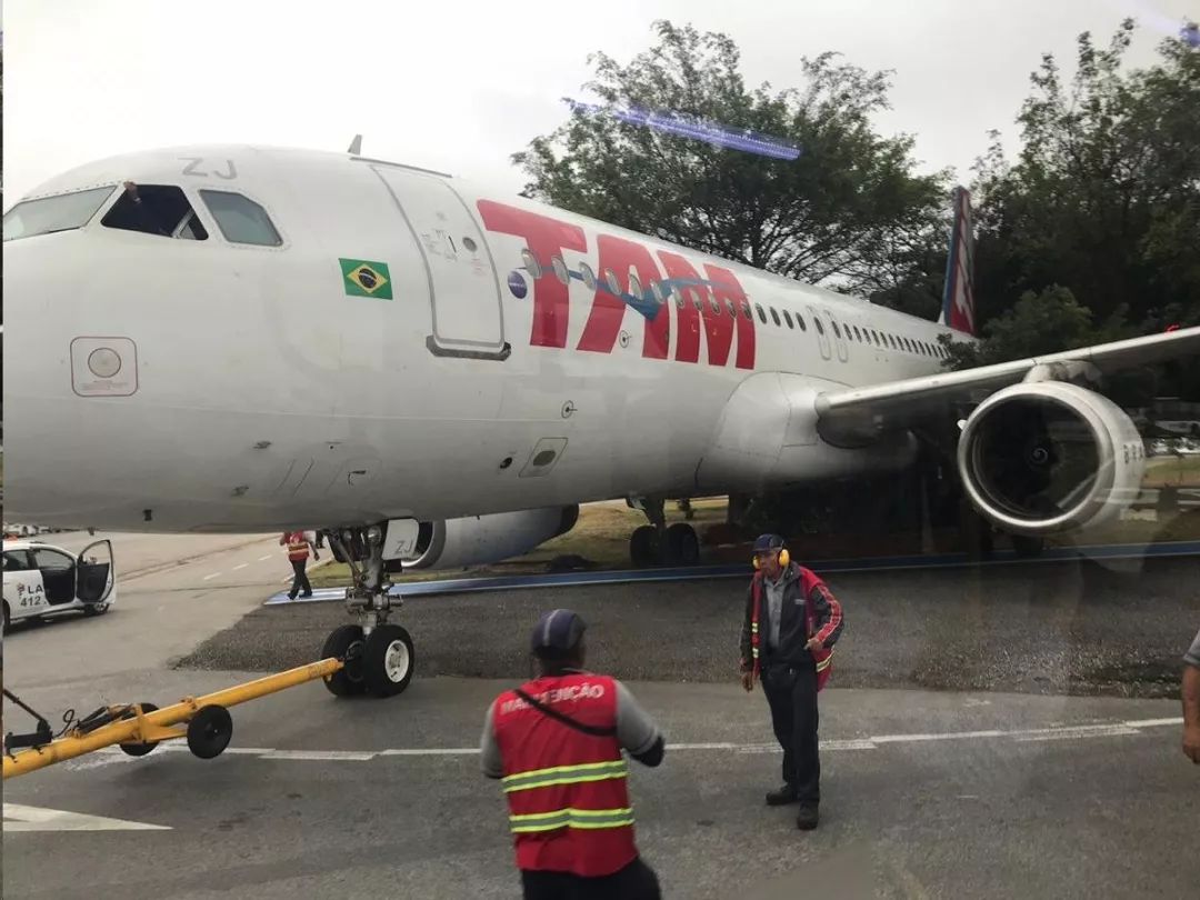南美航空一架客机滑进树丛 无人受伤 飞机