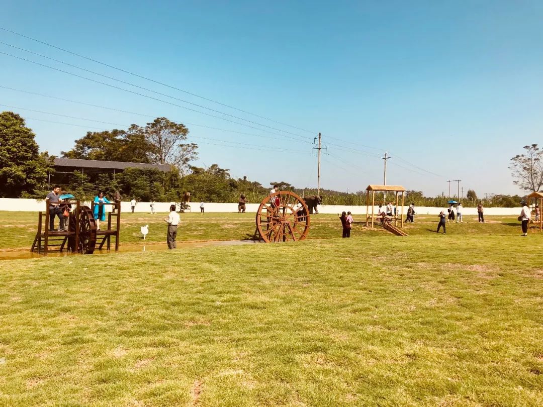 韶关近郊鸿雁公园今日盛大开园,近距离接触鸿雁,引爆游园狂潮