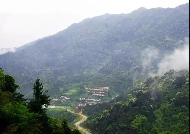 揭西温泉浸泡奇趣游汕菜擂茶潮风客韵地道食五星大洋云雾山庄圈子行