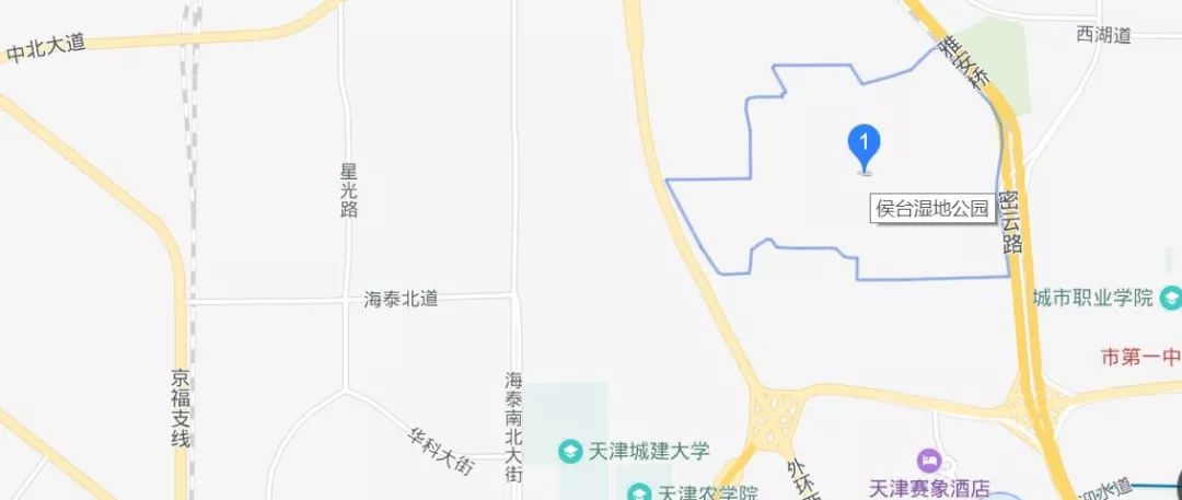 伊犁市城区面积和人口_伊犁师范大学图片面积(2)