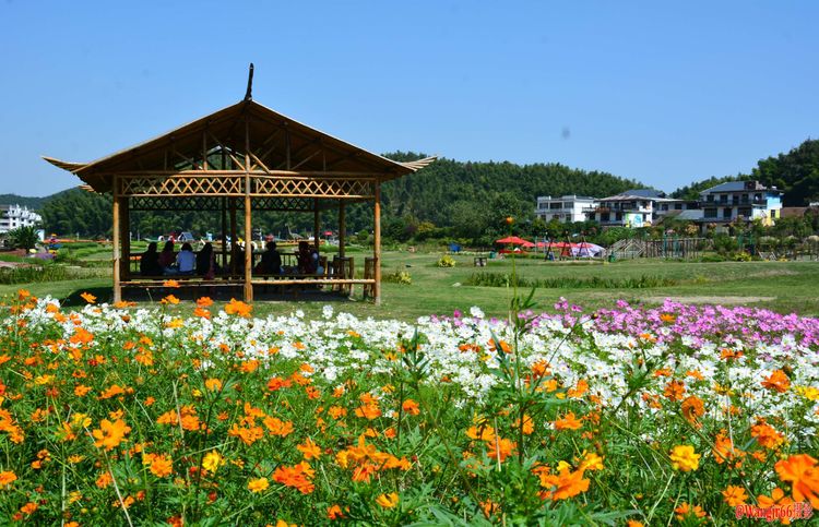 南昌后花园,醉美湾里区