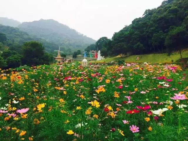 黄江镇建成了大屏嶂森林公园(黄江片区),黄牛埔森林公园,宝山森林公园