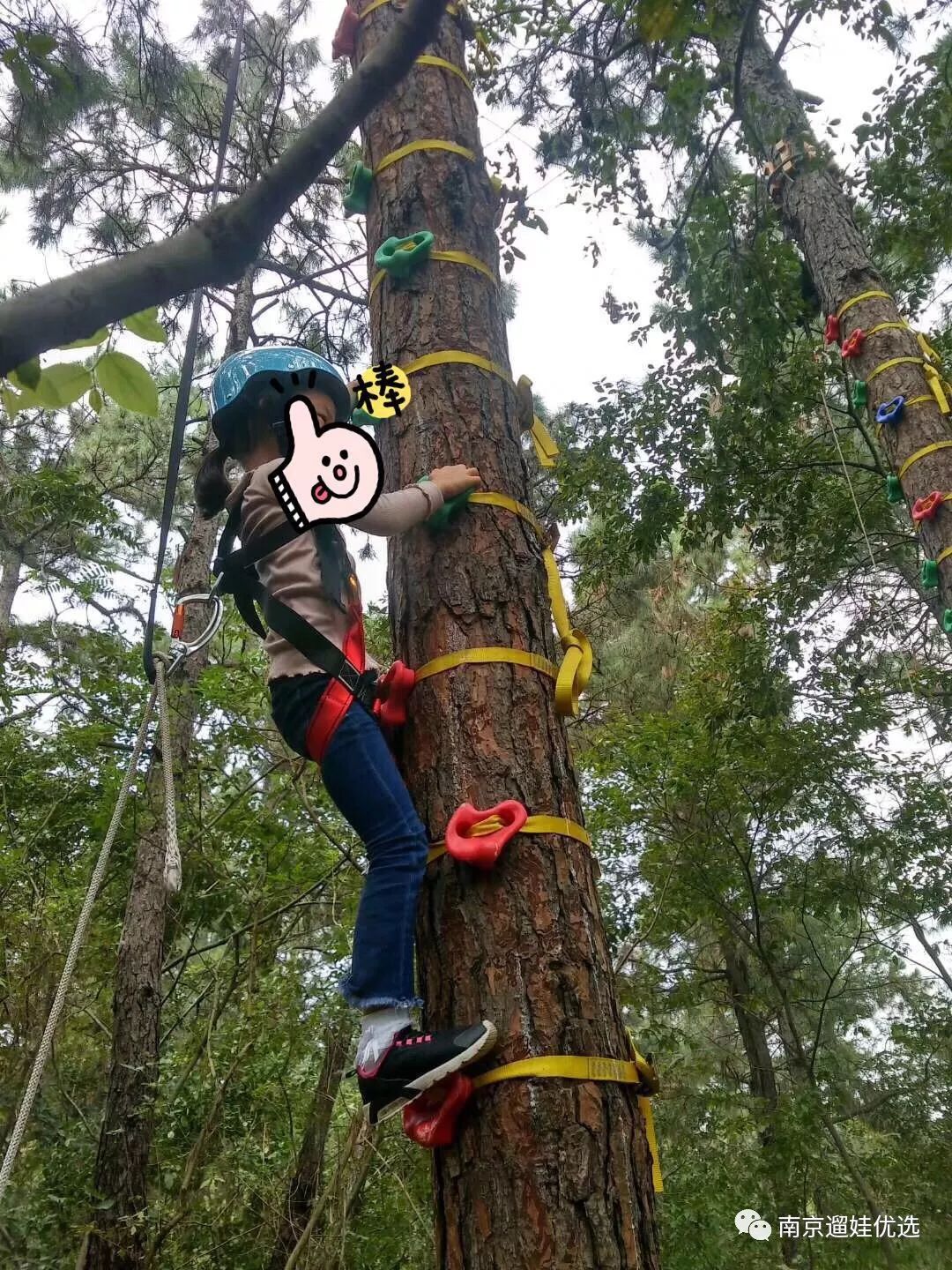 探秘松鼠咔咔乐园,眼见为实的快乐大自然