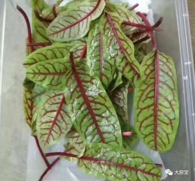 冷菜围边花草图集!附:川卤第三讲拌菜!