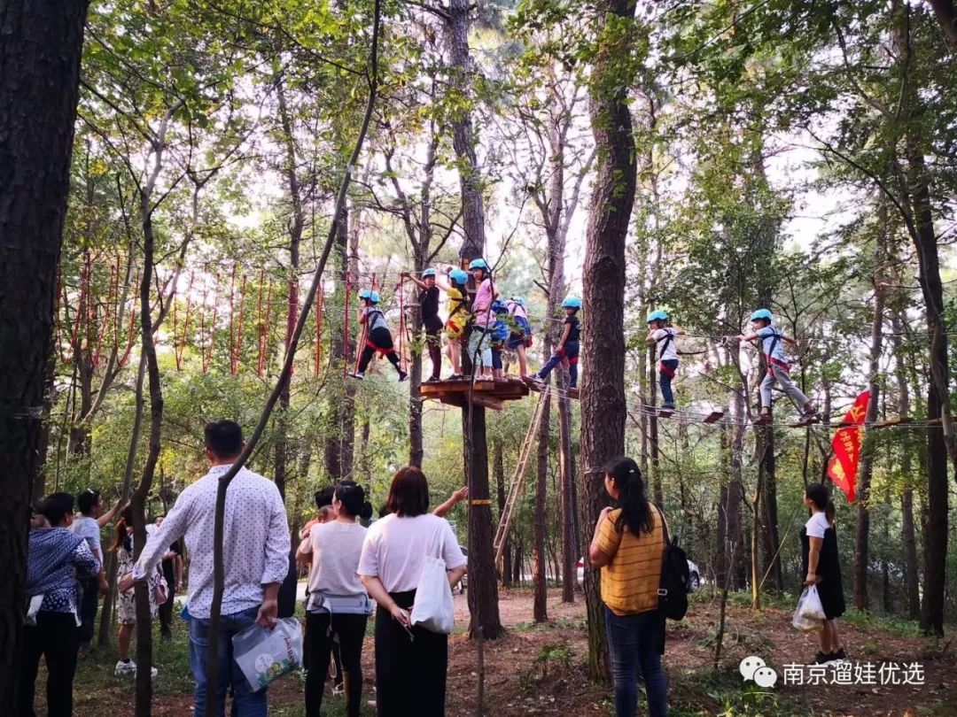 探秘松鼠咔咔乐园眼见为实的快乐大自然