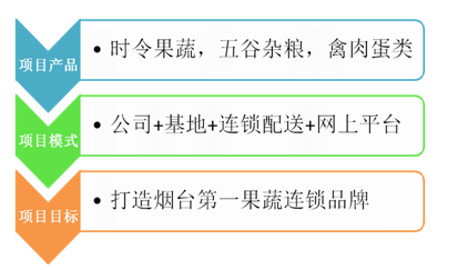 必博体育果蔬连锁项目商业计划书模板