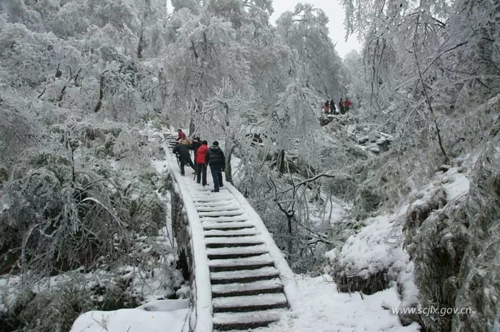 筠连大雪山风景我们有理由相信,经开区的设立能让筠连县在新时代