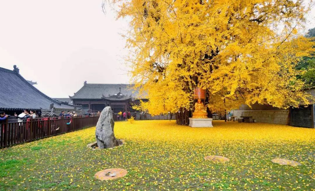 古观音禅寺