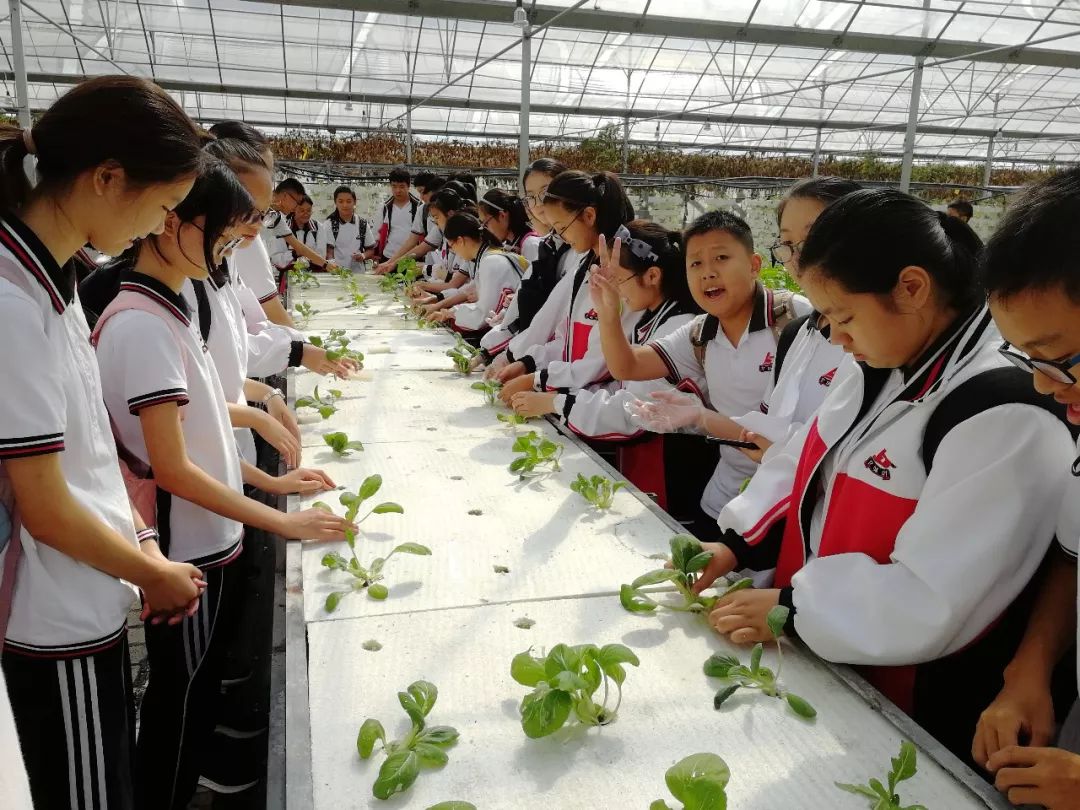 一年一度秋草黄 镜湖学子研学忙