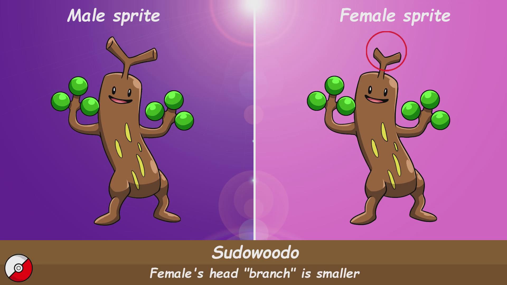 胡说树头上的触角雌雄会有略微不一样,雌性的会小一些雌雄大菊花的