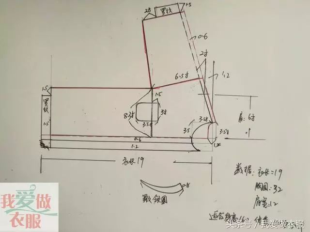 莫代尔外搭小款怎么裁剪_小动物怎么画