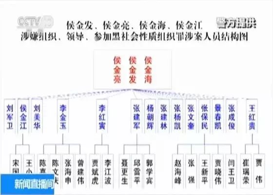 果断开三枪才把他们逼退|闻喜盗墓涉黑案侦办内幕_侯氏